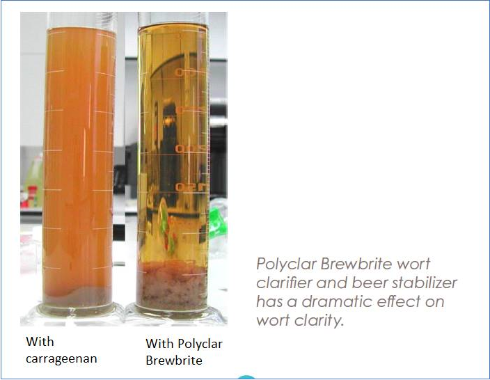 Perbandingan kejernihan wort: carrageenan saja versus Polyclar Brewbrite